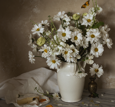New Beginnings with Daisies