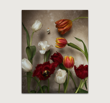 Tulip Love
